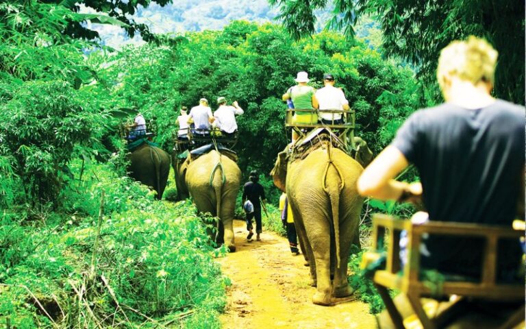 feature-image2-elephant-ride