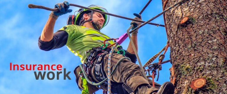 Untitled-11 Untitled-11