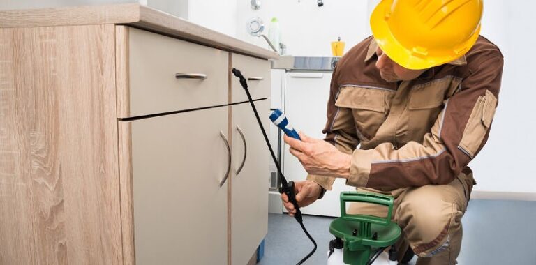 pest-control-1 pest-control-1