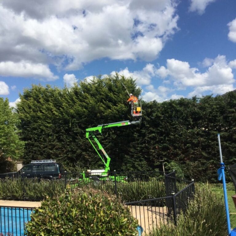 IMG_0333-2-1024x1024 IMG_0333-2-1024x1024