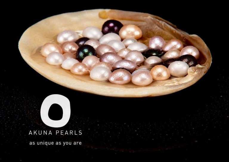 67780440 627899721066646 4534554901162594795 n 768x543