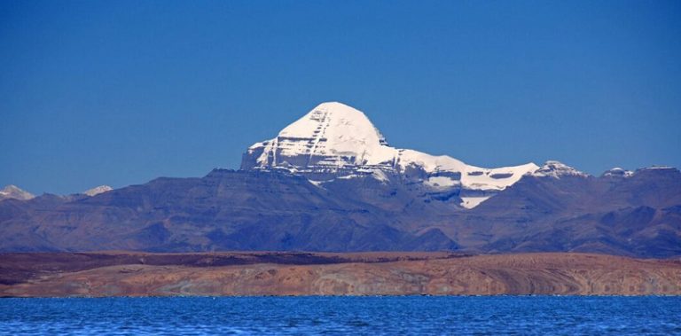 homepage 045 banner new 1060x524 1 768x379