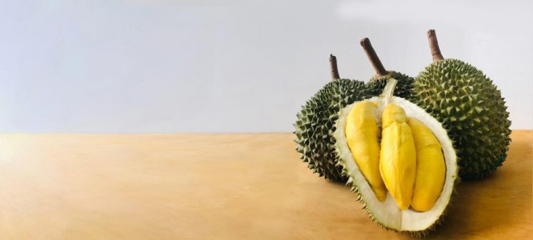 image7xxx 2 optimize 768x347