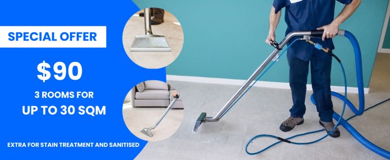 Professional Carpet Cleaning 1 768x315
