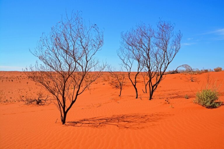 australian desert 768x512
