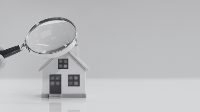 Pest and Building inspections 768x432